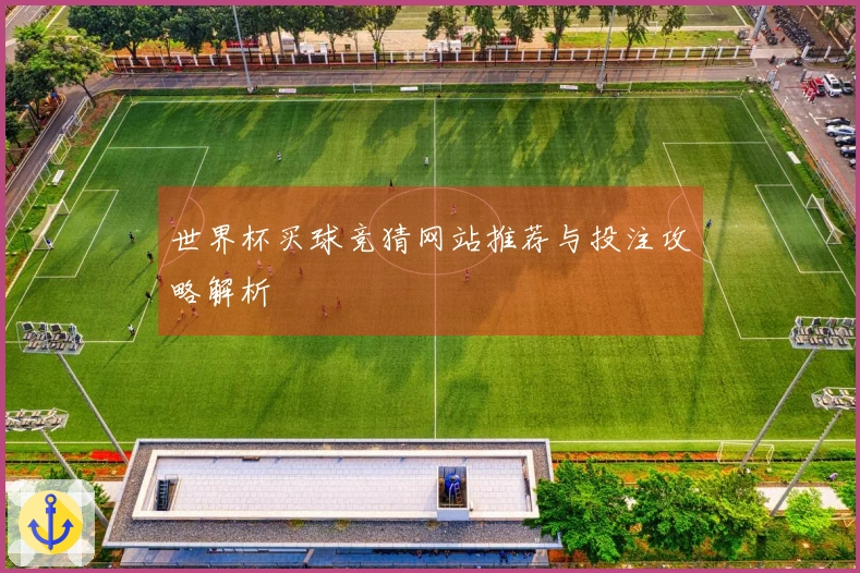 世界杯买球竞猜网站推荐与投注攻略解析
