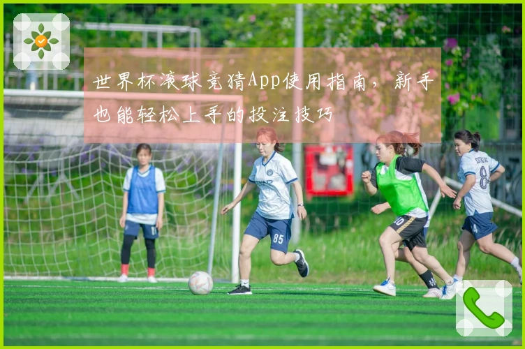 世界杯滚球竞猜App使用指南，新手也能轻松上手的投注技巧
