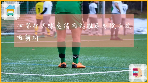 世界杯买球竞猜网站推荐与投注攻略解析
