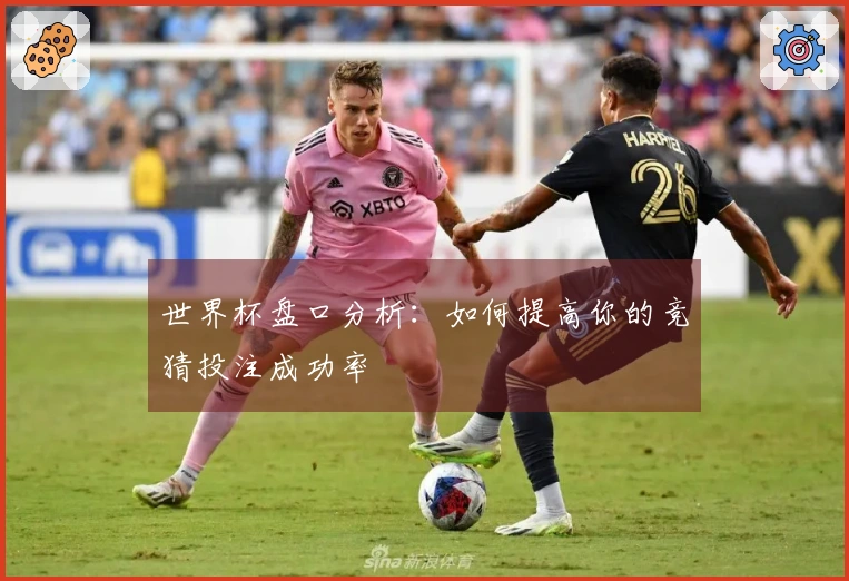 世界杯盘口分析：如何提高你的竞猜投注成功率